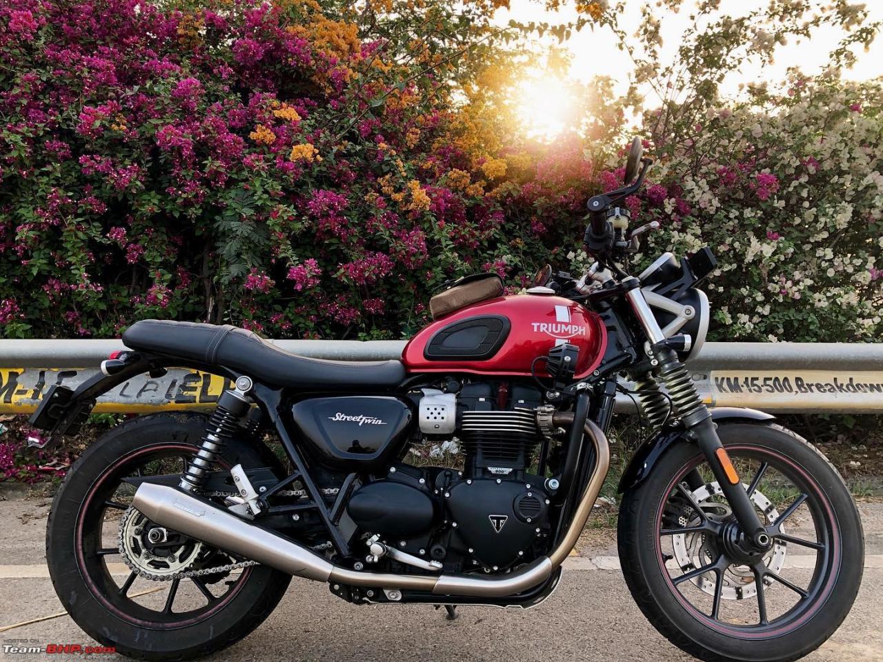 Triumph street twin online for sale